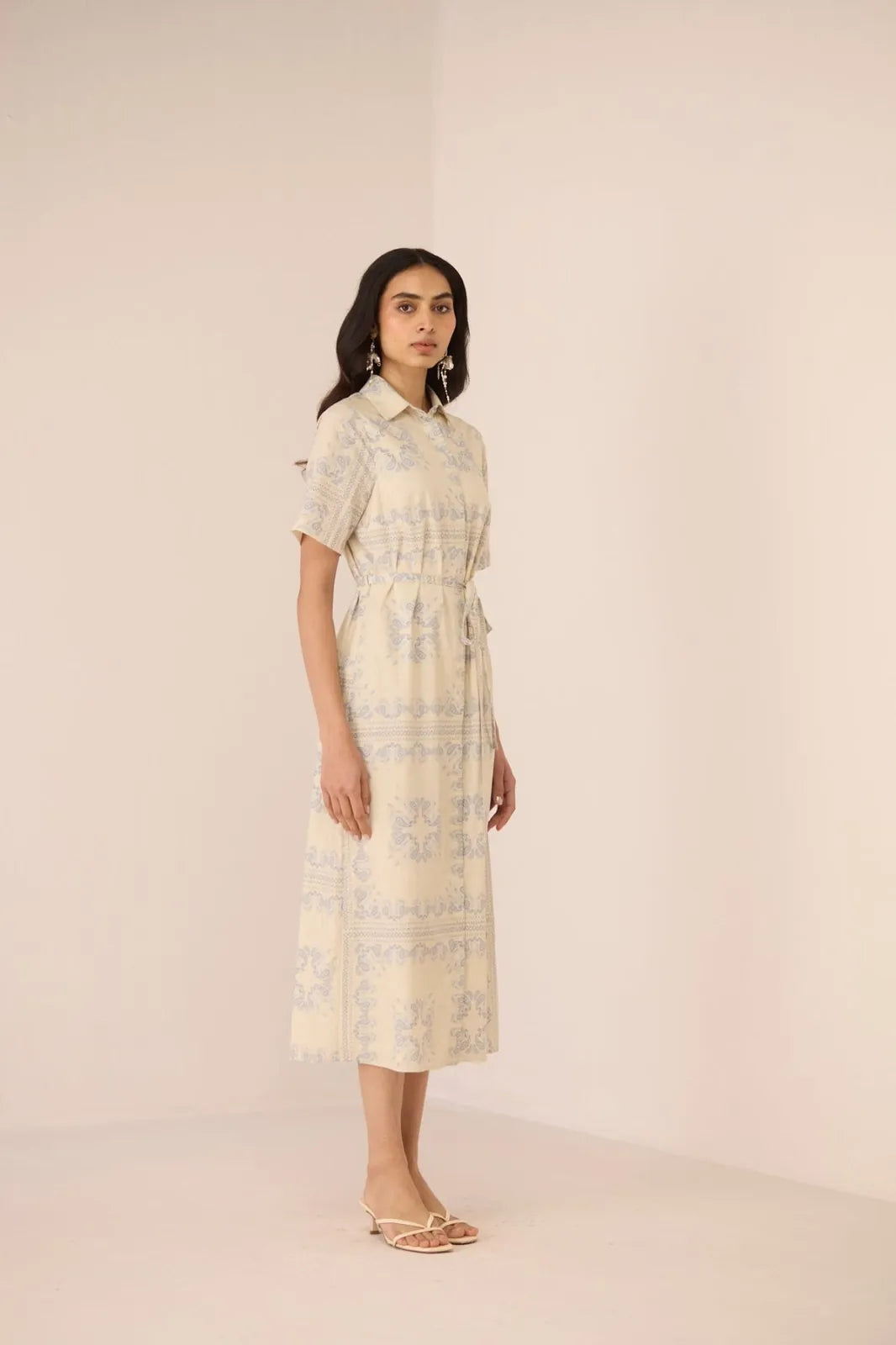 aster shirt dress, image 3