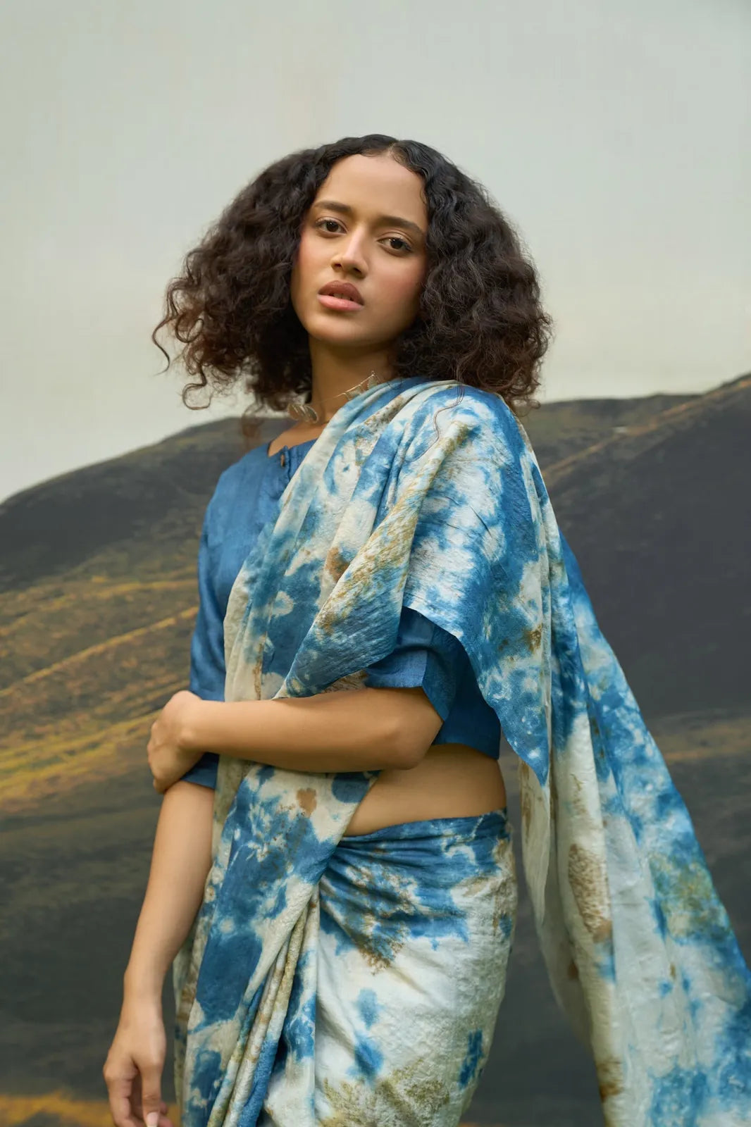 blue saree, image 3