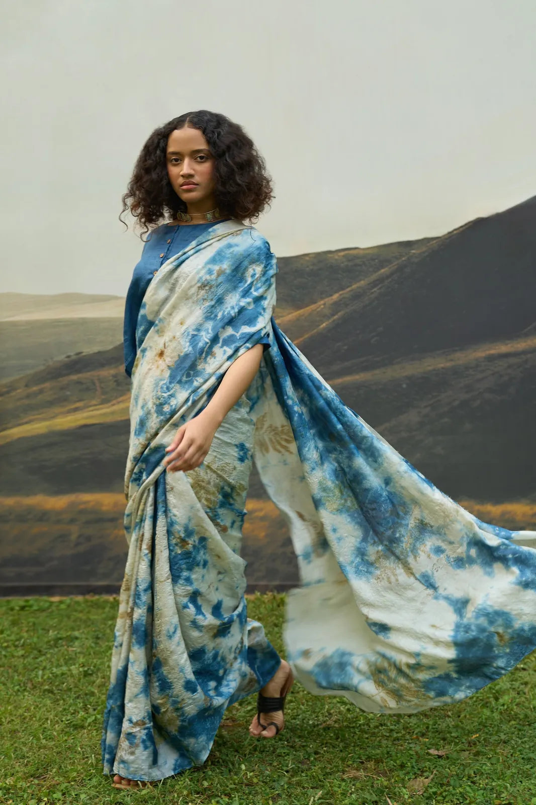 blue saree, image 4