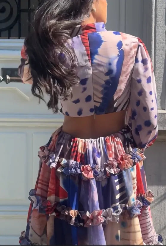 brinda patel in pleats & palettes, image 4