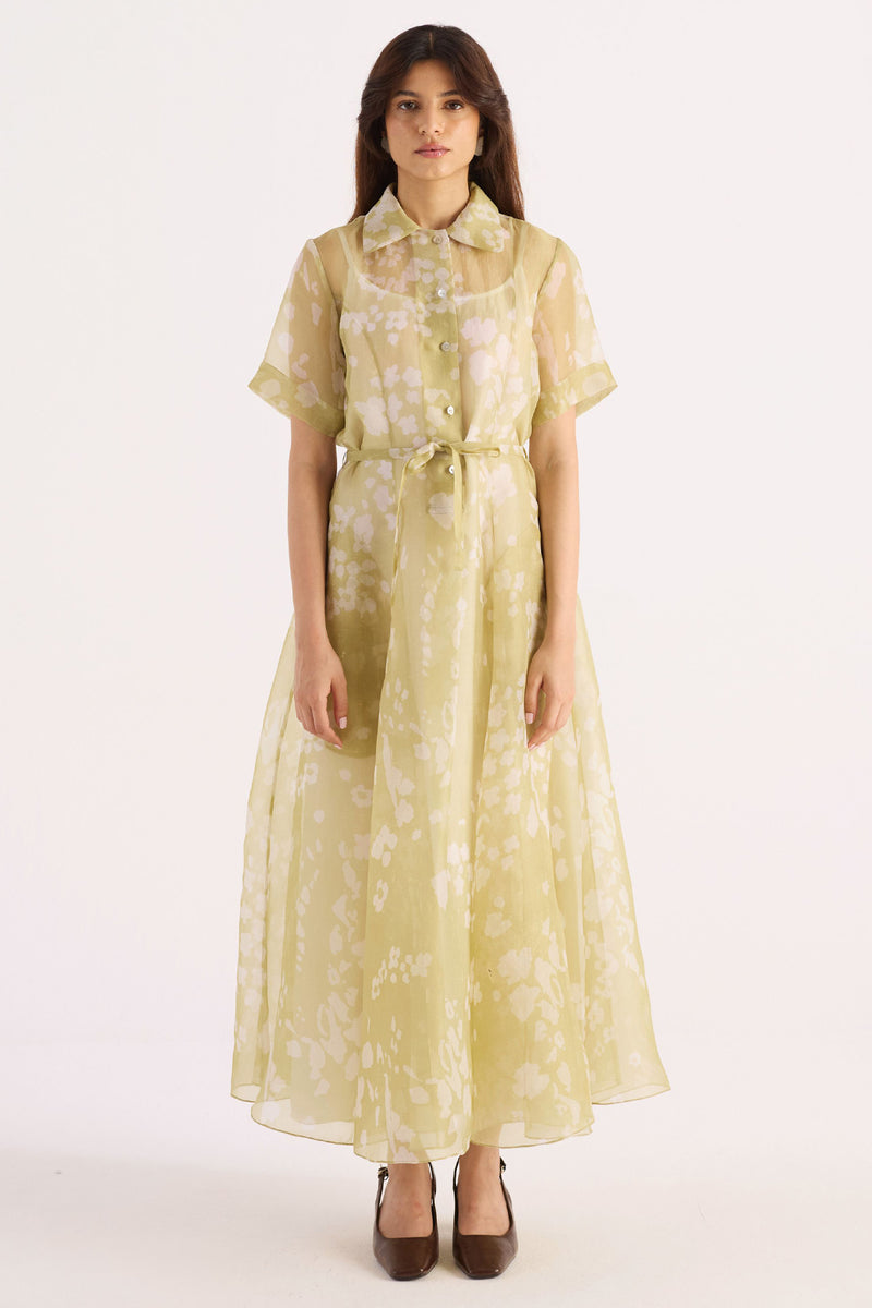 Petal Green Printed Silk Organza Shirt Dress
